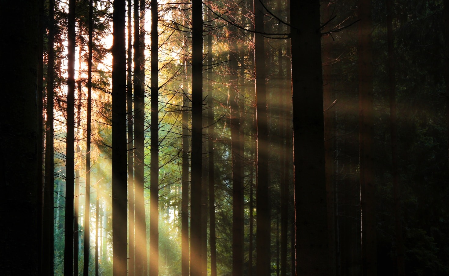 Moonlight Meditations: A Guide to Serenity
